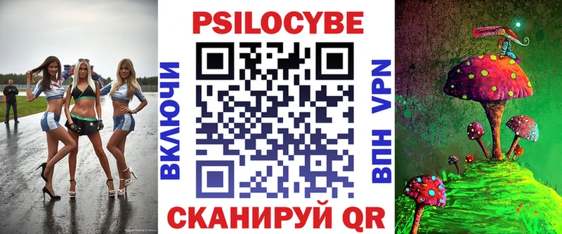 Купить закладки  Россошь  Псилоцибиновые грибы GOLDEN TEACHER 